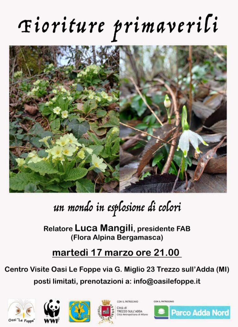 alieni wwf 2 768x1053